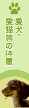 愛犬・愛猫の体重